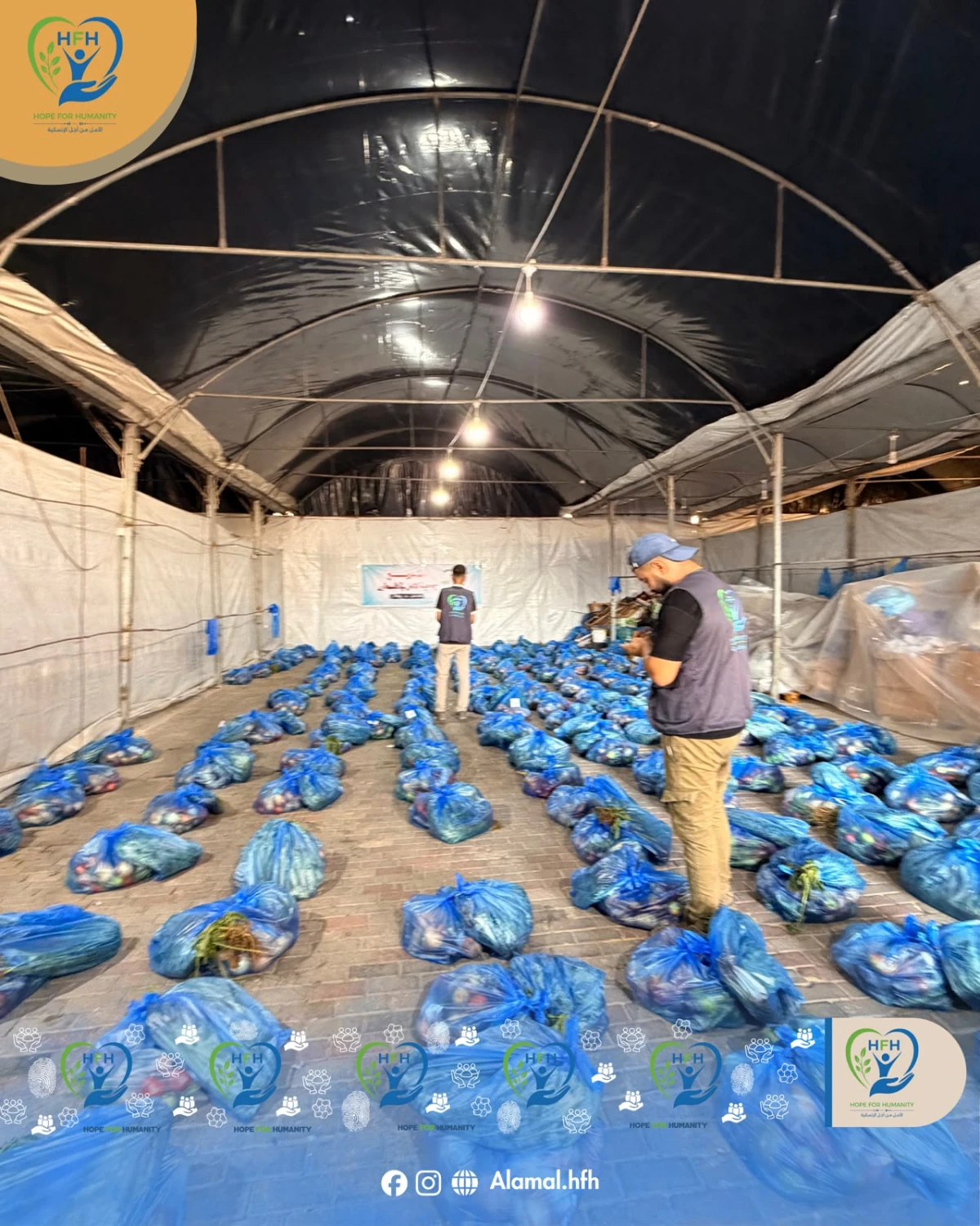 500 Fresh Fruit & Vegetable Baskets Bring Nourishment and Hope to Families in Northern Gaza
