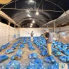 500 Fresh Fruit & Vegetable Baskets Bring Nourishment and Hope to Families in Northern Gaza